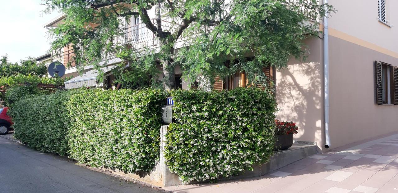 Apartman Oliver Novigrad Istria Exterior foto
